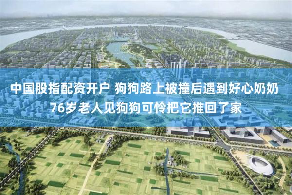 中国股指配资开户 狗狗路上被撞后遇到好心奶奶 76岁老人见狗狗可怜把它推回了家