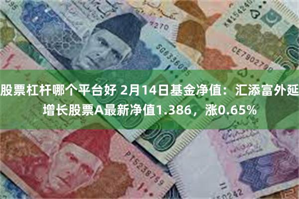 股票杠杆哪个平台好 2月14日基金净值：汇添富外延增长股票A最新净值1.386，涨0.65%