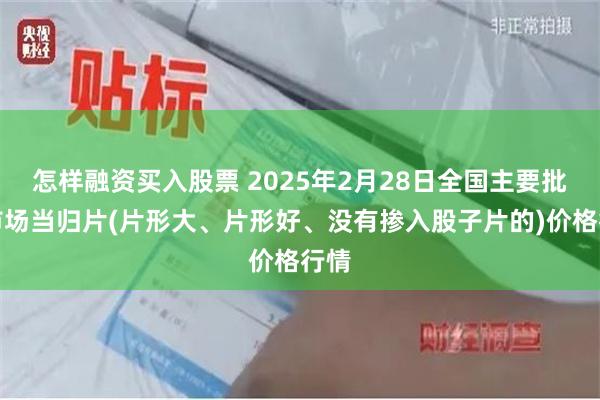 怎样融资买入股票 2025年2月28日全国主要批发市场当归片(片形大、片形好、没有掺入股子片的)价格行情