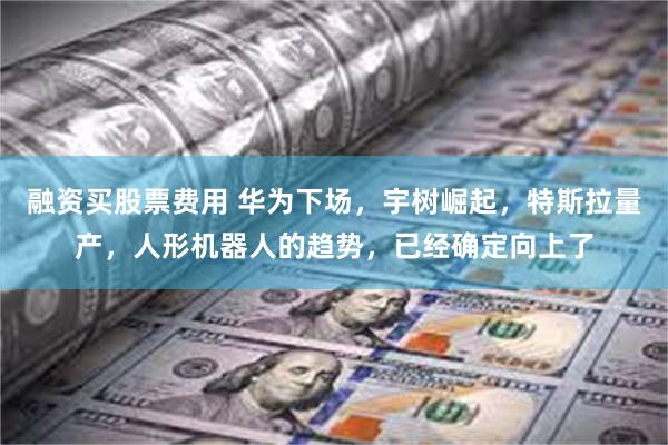 融资买股票费用 华为下场，宇树崛起，特斯拉量产，人形机器人的趋势，已经确定向上了