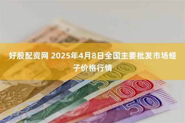 好股配资网 2025年4月8日全国主要批发市场蛏子价格行情