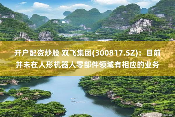 开户配资炒股 双飞集团(300817.SZ)：目前并未在人形机器人零部件领域有相应的业务