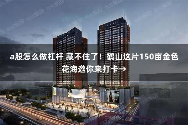 a股怎么做杠杆 藏不住了！鹤山这片150亩金色花海邀你来打卡→