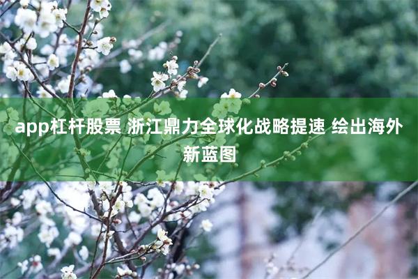 app杠杆股票 浙江鼎力全球化战略提速 绘出海外新蓝图