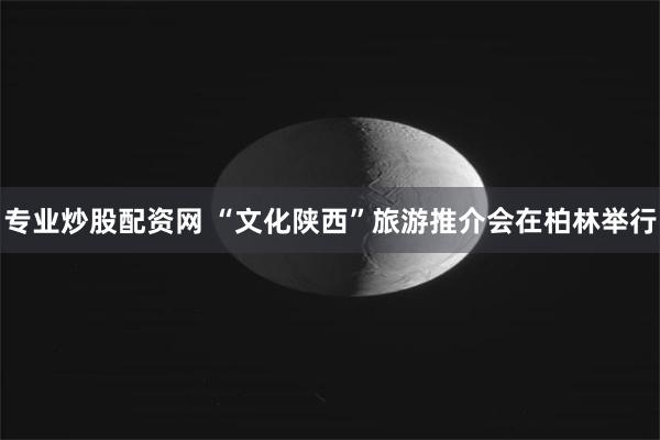 专业炒股配资网 “文化陕西”旅游推介会在柏林举行