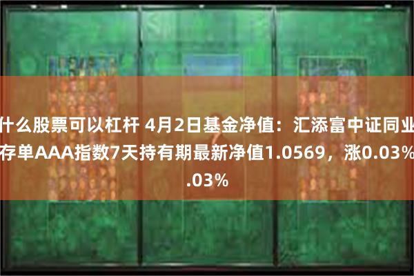什么股票可以杠杆 4月2日基金净值：汇添富中证同业存单AAA指数7天持有期最新净值1.0569，涨0.03%