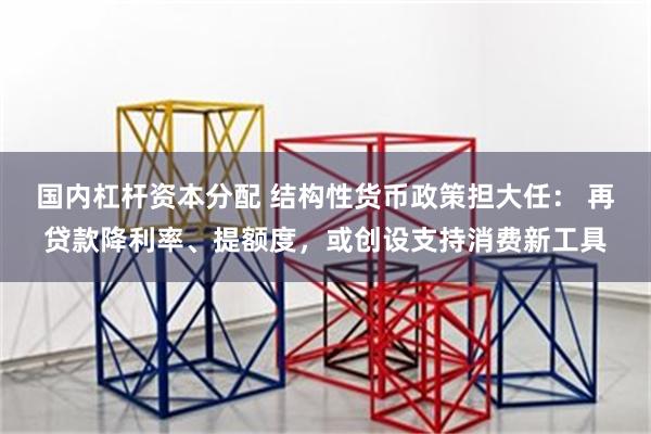 国内杠杆资本分配 结构性货币政策担大任： 再贷款降利率、提额度，或创设支持消费新工具