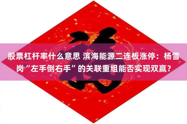 股票杠杆率什么意思 滨海能源二连板涨停：杨雪岗“左手倒右手”的关联重组能否实现双赢？