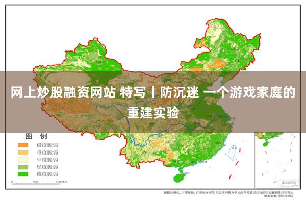 网上炒股融资网站 特写丨防沉迷 一个游戏家庭的重建实验