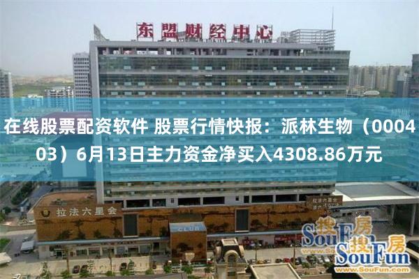 在线股票配资软件 股票行情快报：派林生物（000403）6月13日主力资金净买入4308.86万元